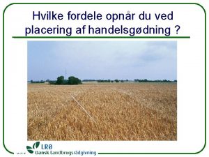 Hvilke fordele opnr du ved placering af handelsgdning