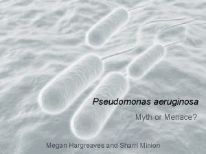 Pseudomonas aeruginosa Myth or Menace Megan Hargreaves and