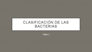 CLASIFICACIN DE LAS BACTERIAS TEMA 2 LAS BACTERIAS