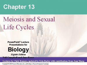 Chapter 13 Meiosis and Sexual Life Cycles Power