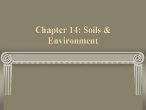 Chapter 14 Soils Environment soil composition organics air