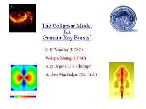 The Collapsar Model for GammaRay Bursts S E