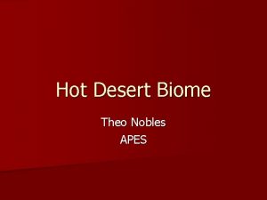 Hot Desert Biome Theo Nobles APES Hot Desert