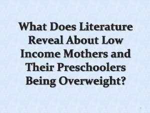 What Does Literature Reveal About Low Income Mothers