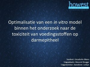 Optimalisatie van een in vitro model binnen het