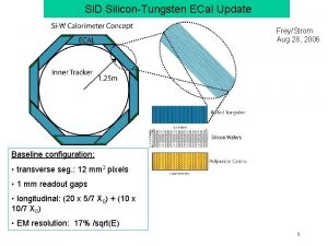 Si D SiliconTungsten ECal Update FreyStrom Aug 28