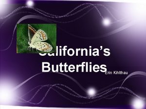 Californias Butterflies Erin Kihlthau Californias Butterflies 13 Species