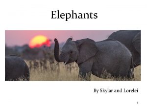 Elephants By Skylar and Lorelei 1 This story