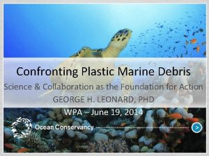 Confronting Plastic Marine Debris Science Collaboration as the