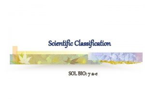 Scientific Classification SOL BIO 7 ae SOL BIO