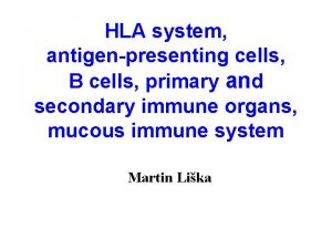 HLA system antigenpresenting cells B cells primary and