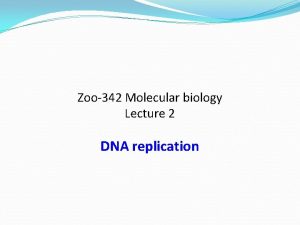 Zoo342 Molecular biology Lecture 2 DNA replication DNA